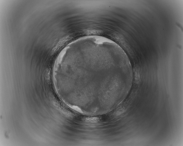 X0000102250357200808221358