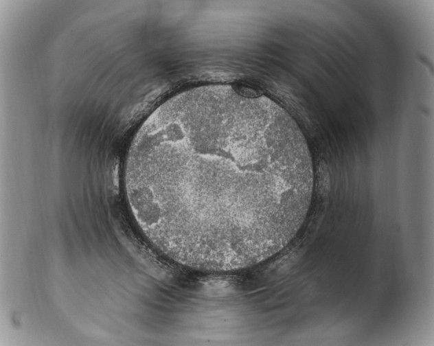 X0000102250358200808221358