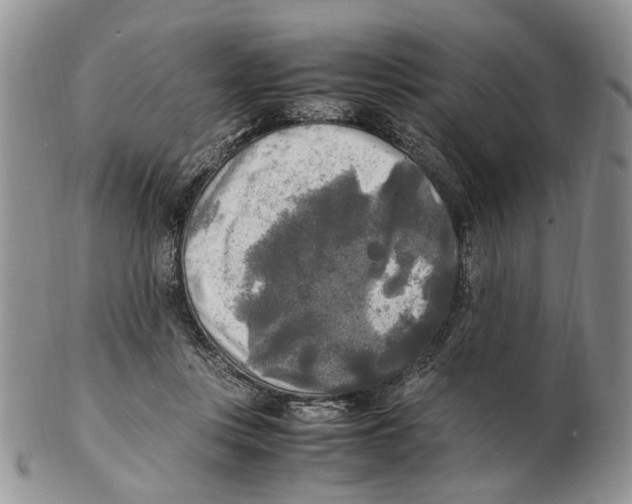X0000102250359200808221358