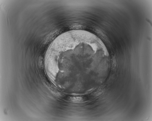 X0000102250361200808221358