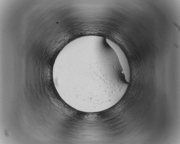 X0000102250362200808221358