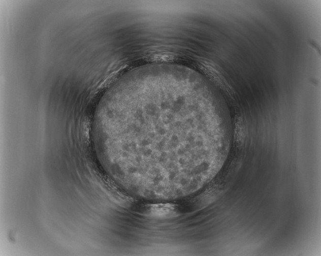 X0000102250363200808221358