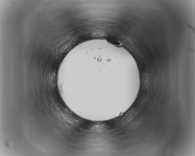 X0000102250364200808221358