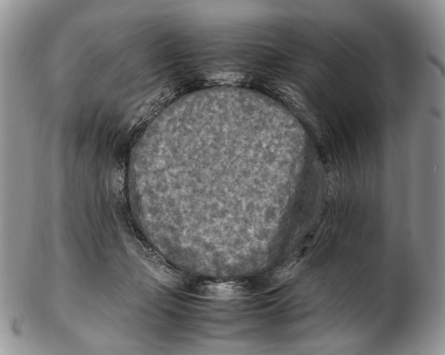 X0000102250365200808221358