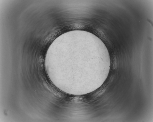 X0000102250366200808221358