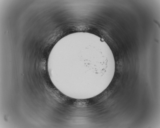 X0000102250368200808221358