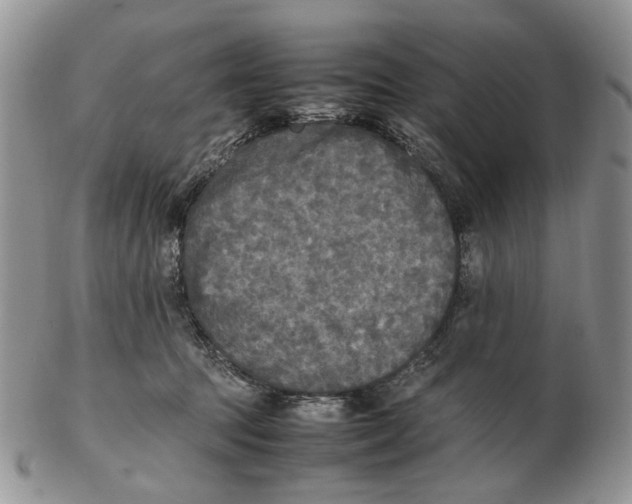 X0000102250369200808221358