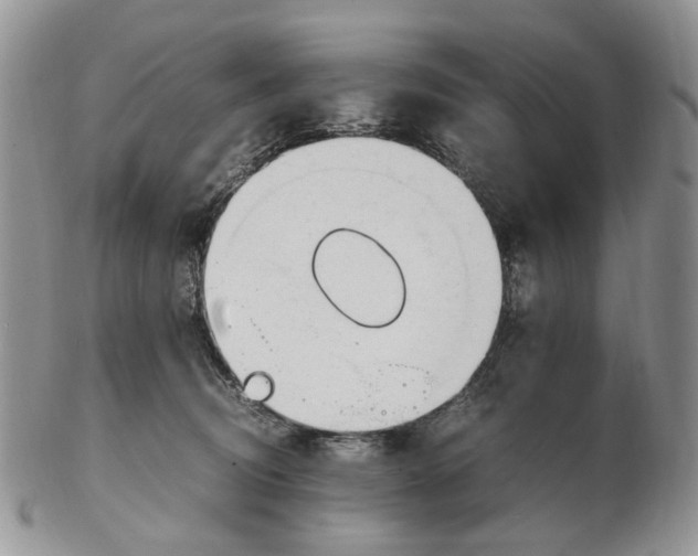X0000102250370200808221358