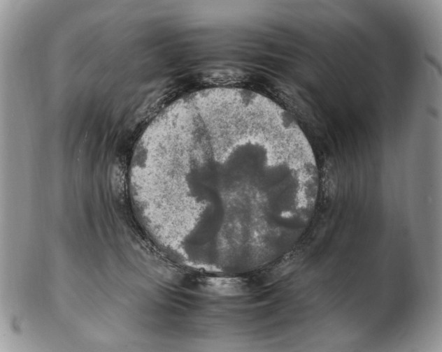 X0000102250371200808221358