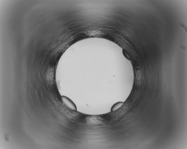 X0000102250372200808221358