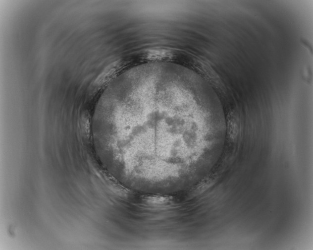 X0000102250375200808221358