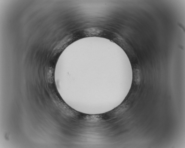 X0000102250378200808221358