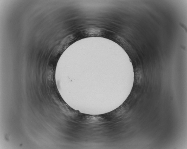 X0000102250379200808221358