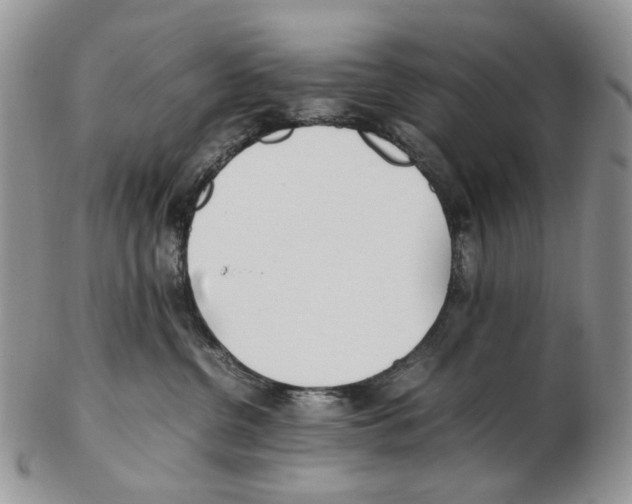 X0000102250380200808221358