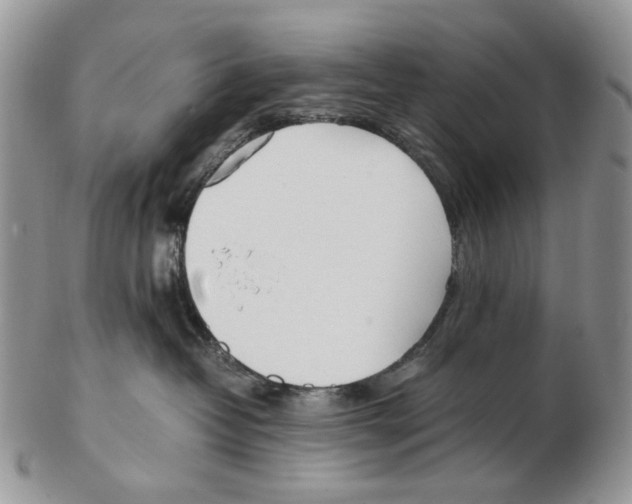 X0000102250382200808221358
