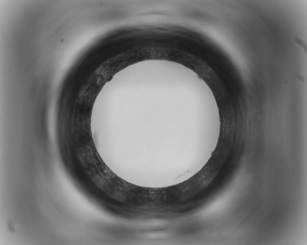 X0000102250383200808221358
