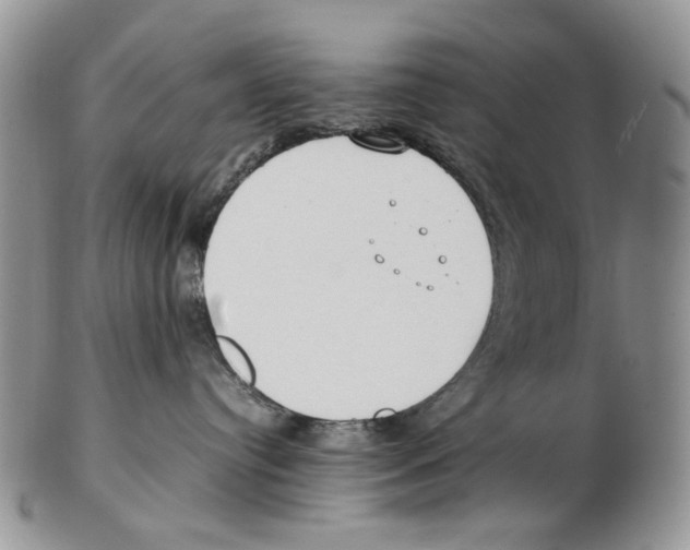 X0000102250384200808221358
