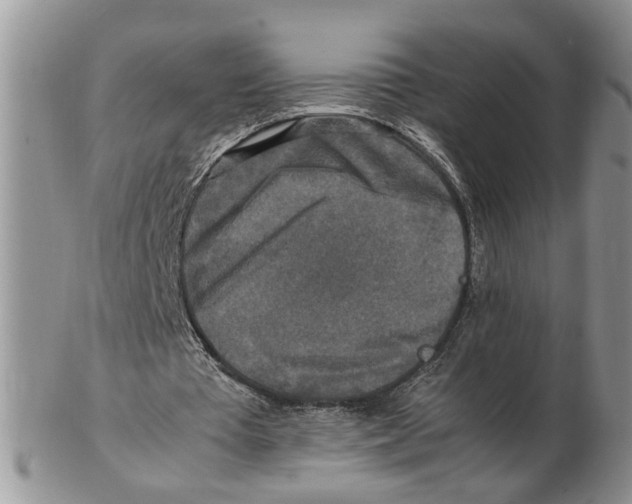 X0000102250385200808221358