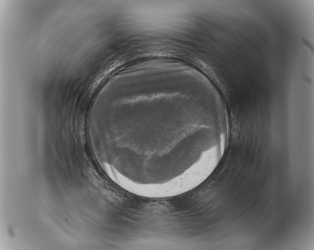X0000102250386200808221358