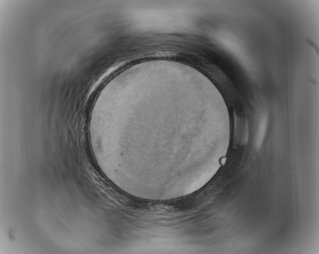 X0000102250387200808221358