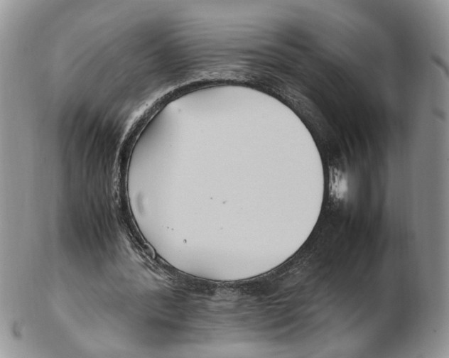 X0000102250388200808221357