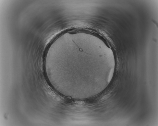 X0000102250391200808221357