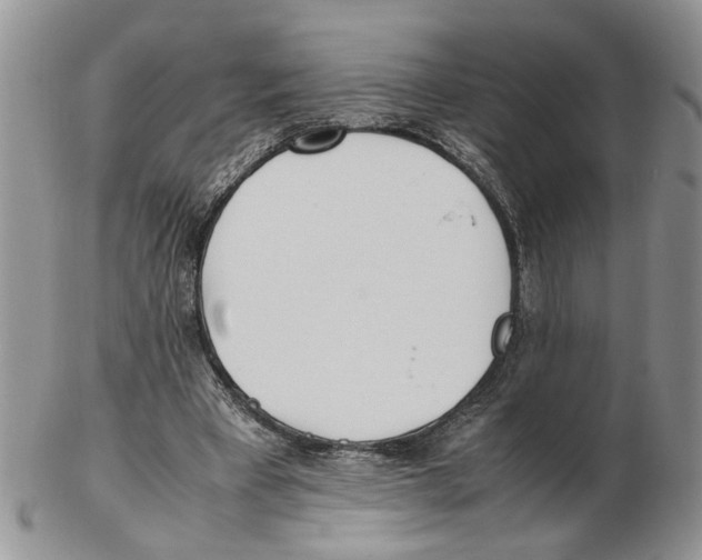 X0000102250393200808221357