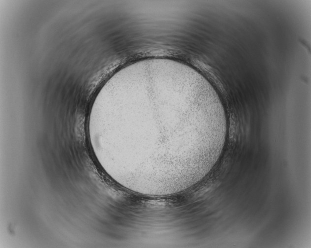 X0000102250394200808221357