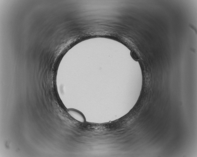 X0000102250395200808221357