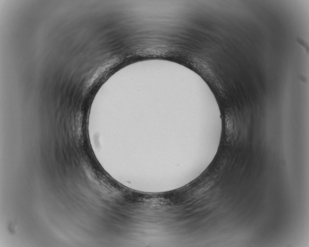 X0000102250396200808221357