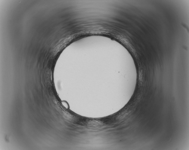 X0000102250397200808221357