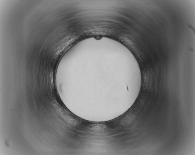 X0000102250398200808221357
