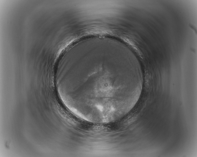 X0000102250399200808221357
