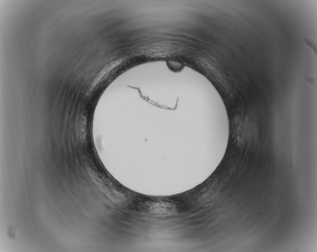 X0000102250400200808221357