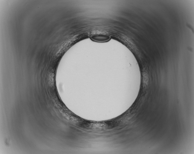 X0000102250401200808221357