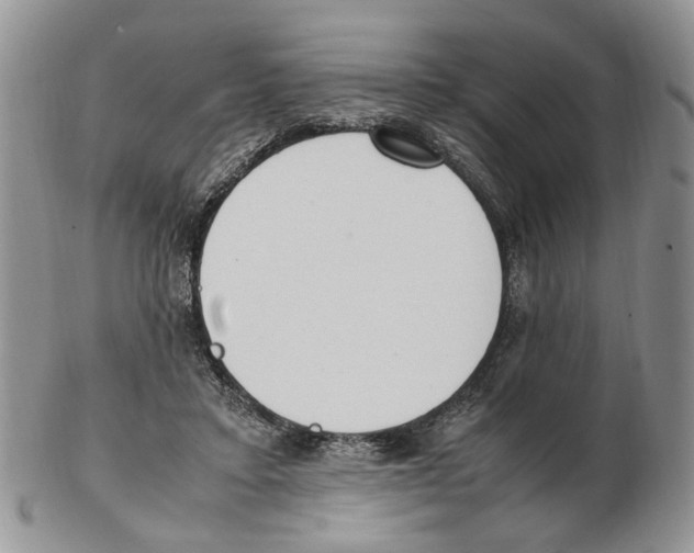 X0000102250403200808221357