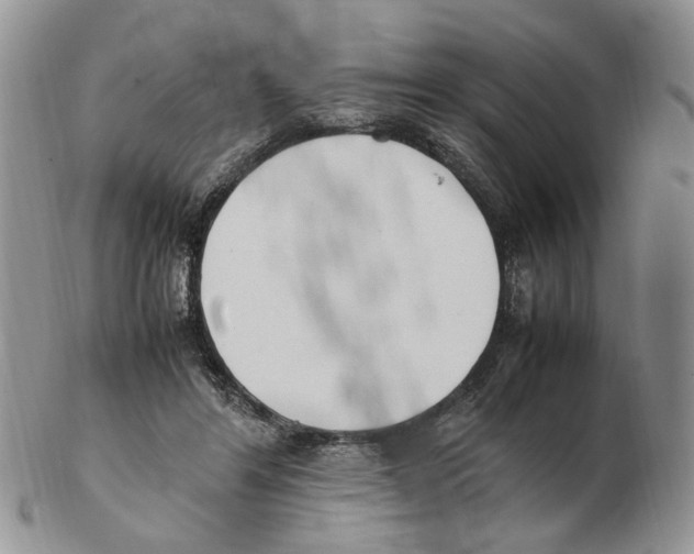 X0000102250404200808221357