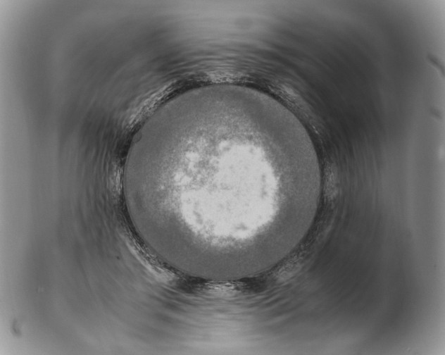 X0000102250405200808221357