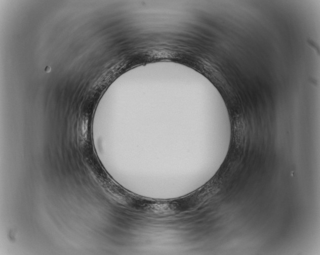 X0000102250406200808221357