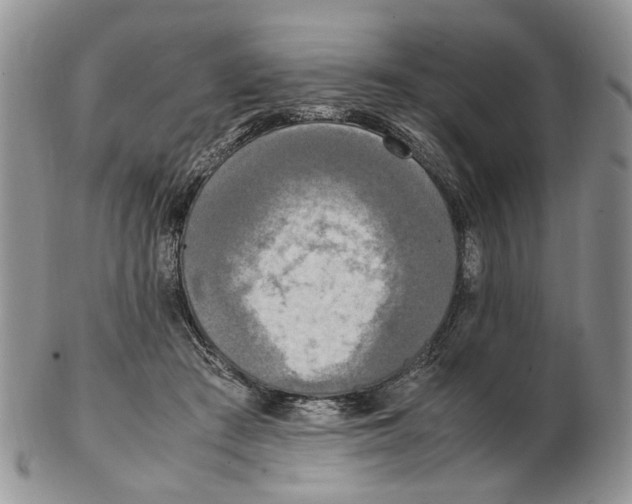 X0000102250409200808221357