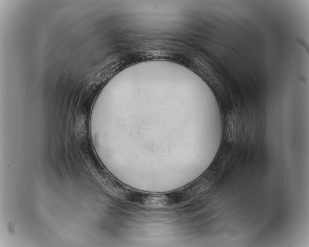 X0000102250410200808221357
