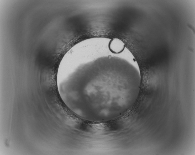 X0000102250411200808221357