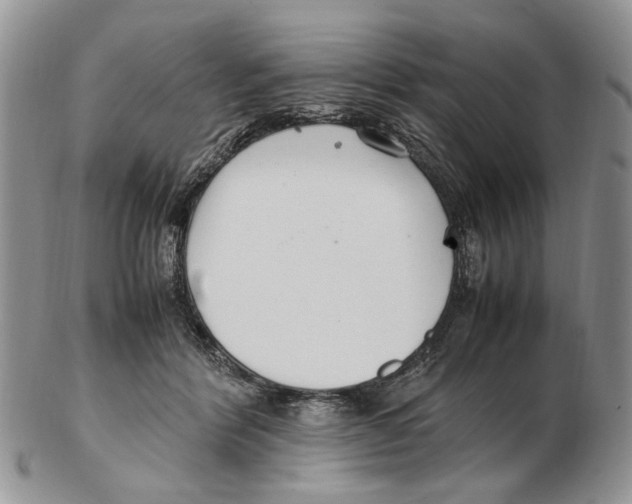 X0000102250412200808221357
