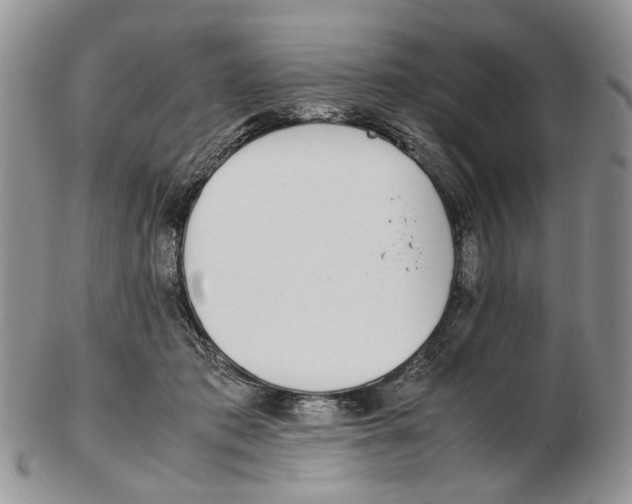 X0000102250413200808221357