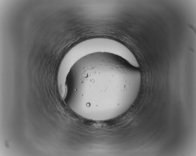 X0000102250415200808221357