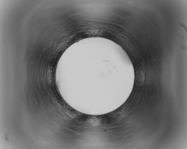 X0000102250416200808221357