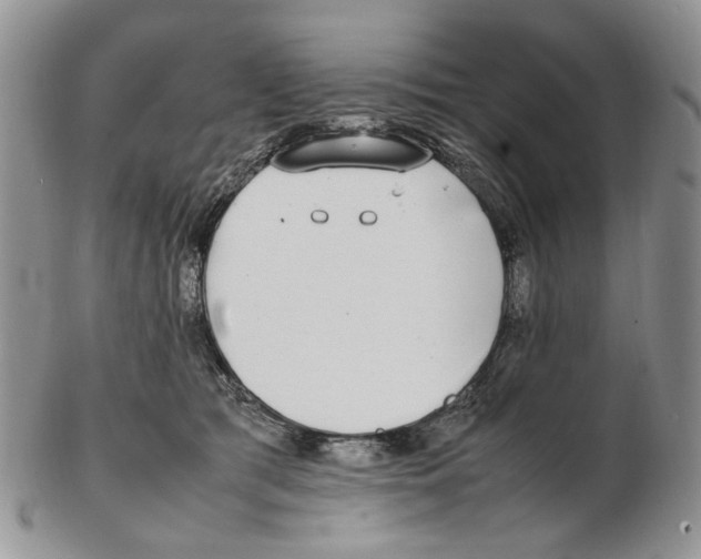 X0000102250417200808221357