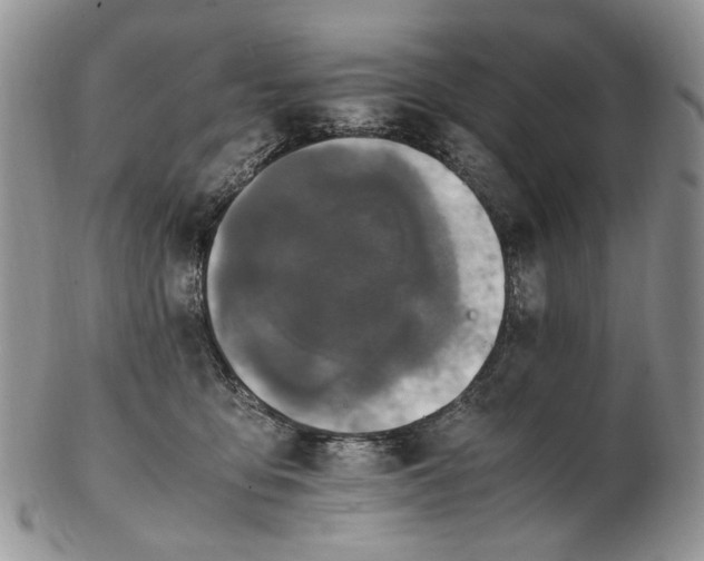 X0000102250419200808221357