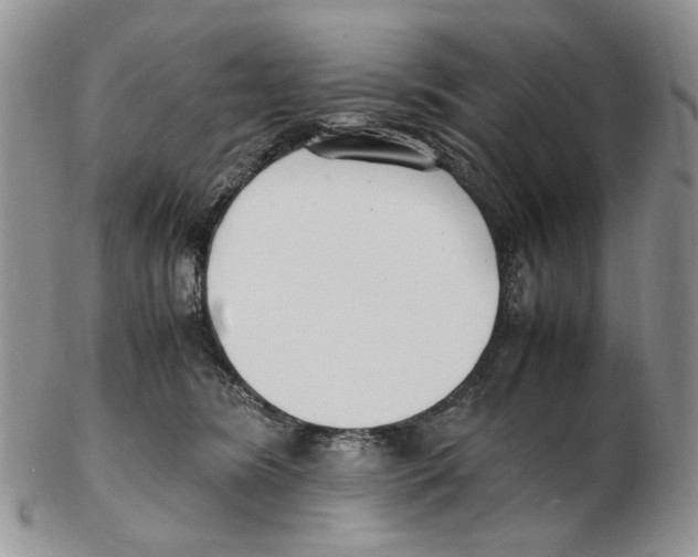 X0000102250420200808221357