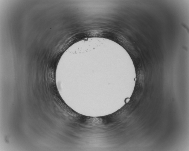 X0000102250421200808221357